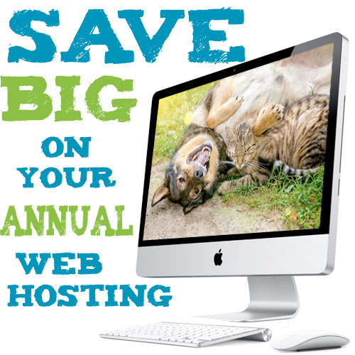 save on web hosting