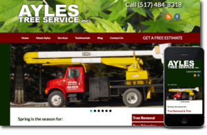 small business responsive website Dimondale Michigan