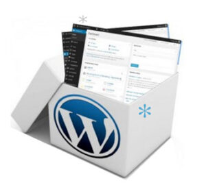 wordpress responsive website packages
